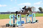 Cls 15+16 Snr Foxhunter and 1.20m Open portfolio