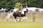 SBM_06214
