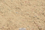 230611A-142056-06281
