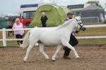 SBM_08458