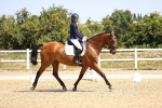 SBM_010502