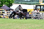 SBM_07993
