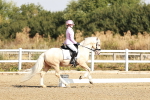SBM_002310
