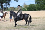 WJ7_5873