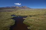 Altiplano