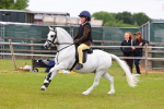 SBM_09486