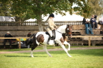 SBM_50184