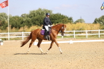 SBM_008595