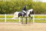 SBM_004219