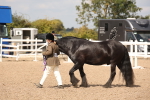 SBM_03464