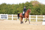 SBM_011801