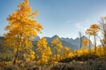 US_2022_074