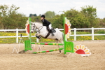 SBM_004233