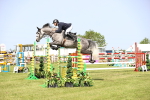 SBM_02931