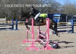 BPP_5919