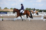 SBM_03815