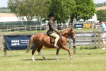 SBM_06734