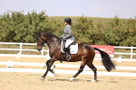 SBM_015027