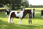 SBM_60941