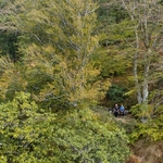 Dartmoor