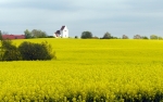 Danish church