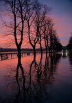 Braving the Flood York Knavesmire Rd