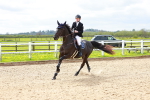Class 12 - National B&C Handicap Championship 1.25m portfolio