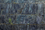 Quarry