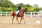 SBM_006284