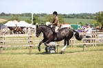 SBM_17873