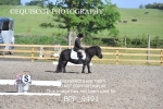 BPP_9491