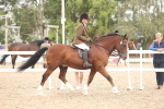 SBM_18161