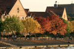 Bristol landscape_ Hotwells in autumn, Bristol_ 0124_Ian Wade
