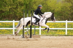 SBM_004137