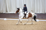 SBM_000431