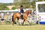 SBM_17985