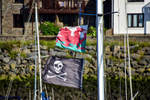 Flags_5834-1