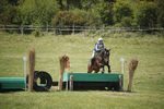 BVHT 140517  IXC -544