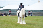 SBM_17189