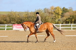 SBM_000405