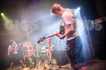 Pigsx7-69