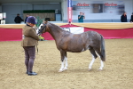 SBM_00473