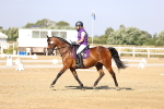 SBM_002654