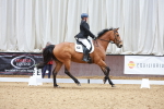 SBM_007513