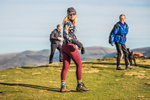 Sale Fell-154