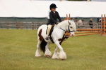SBM_06228