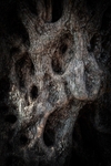 Scream_RLP408274
