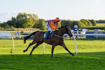 300926-Race 7-Prince Of Calypso-7075