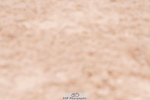 240505A-134124-06109
