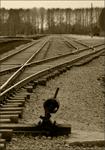 Birkenau  railway lines 2 sepia